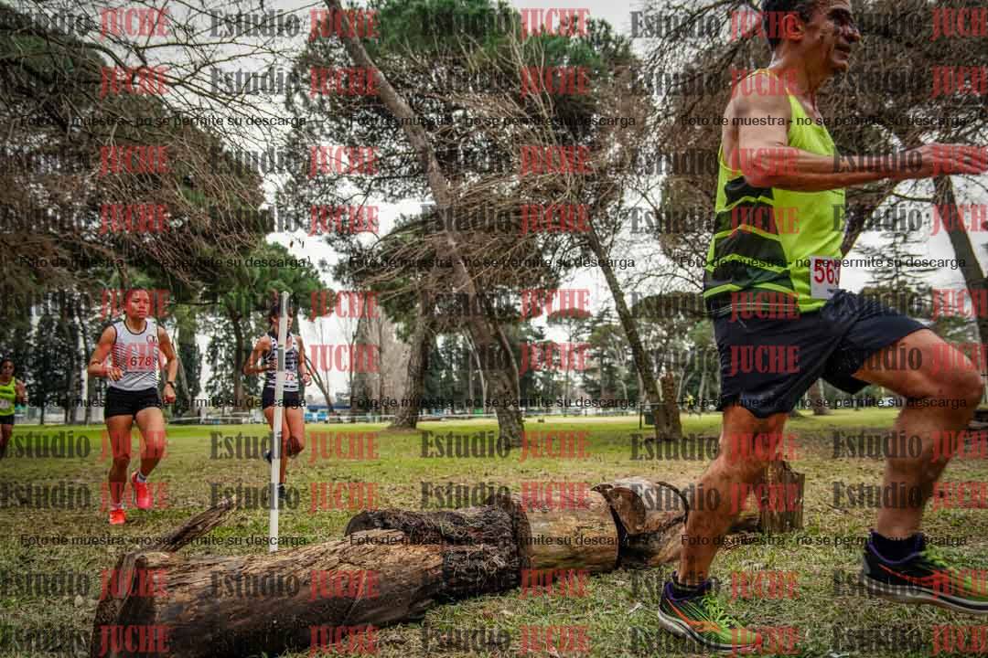 Fotos en el circuito