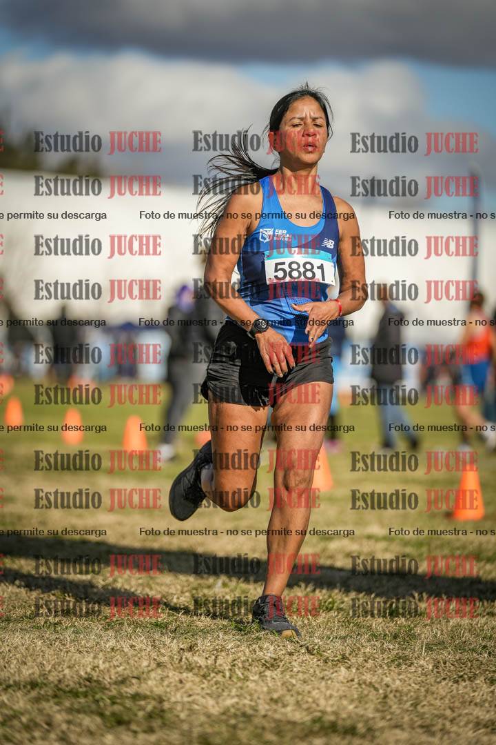 Fotos de las llegadas
