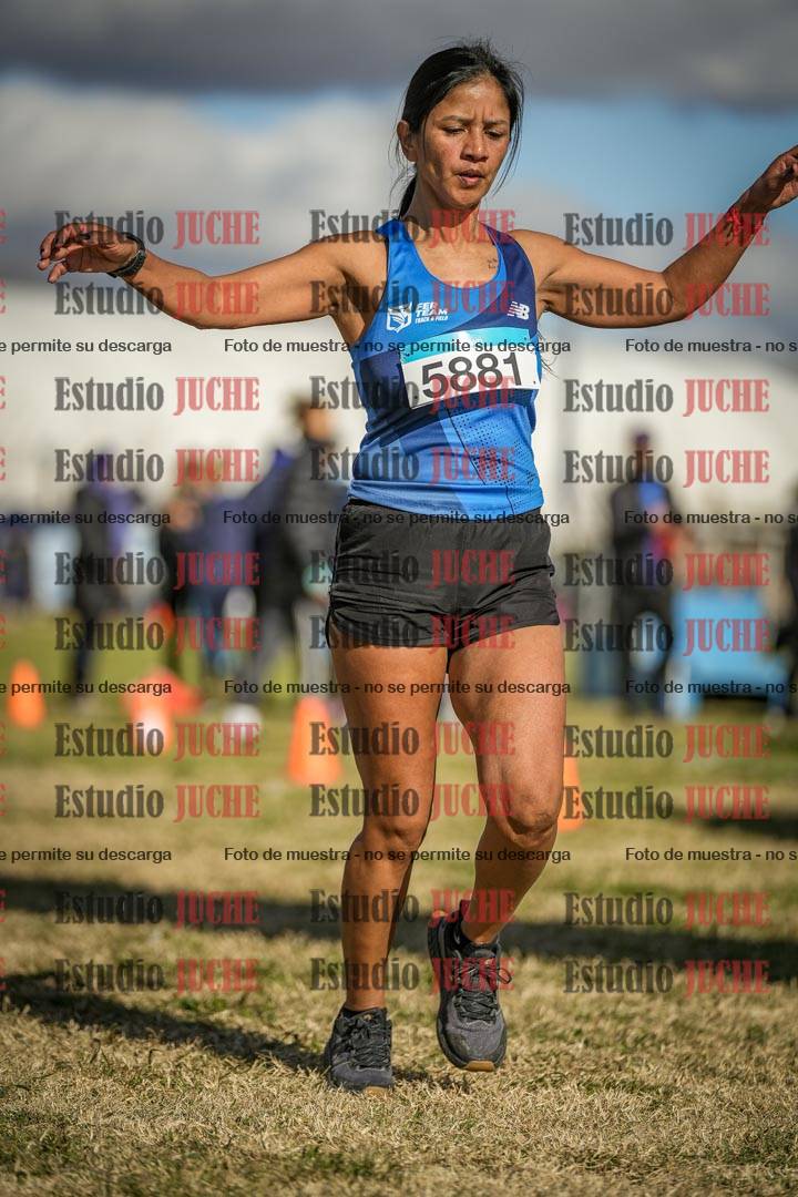 Fotos de las llegadas