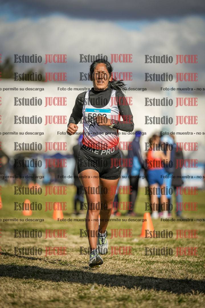 Fotos de las llegadas