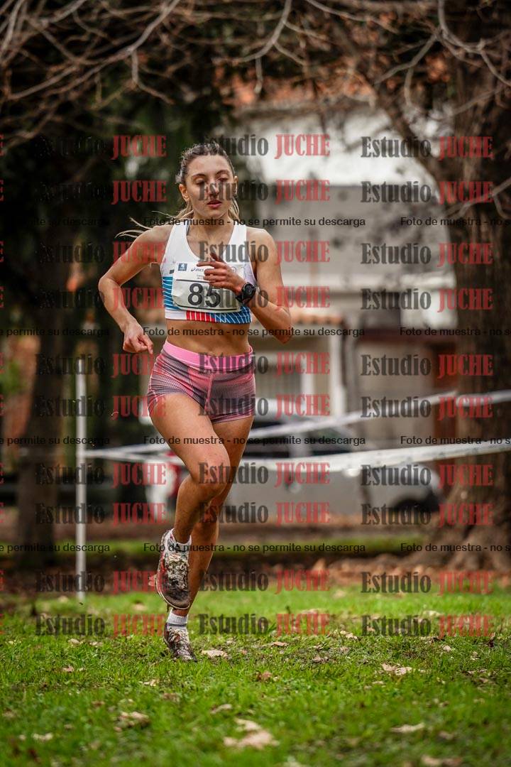 Fotos en el circuito