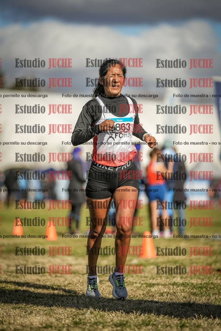 Fotos de las llegadas