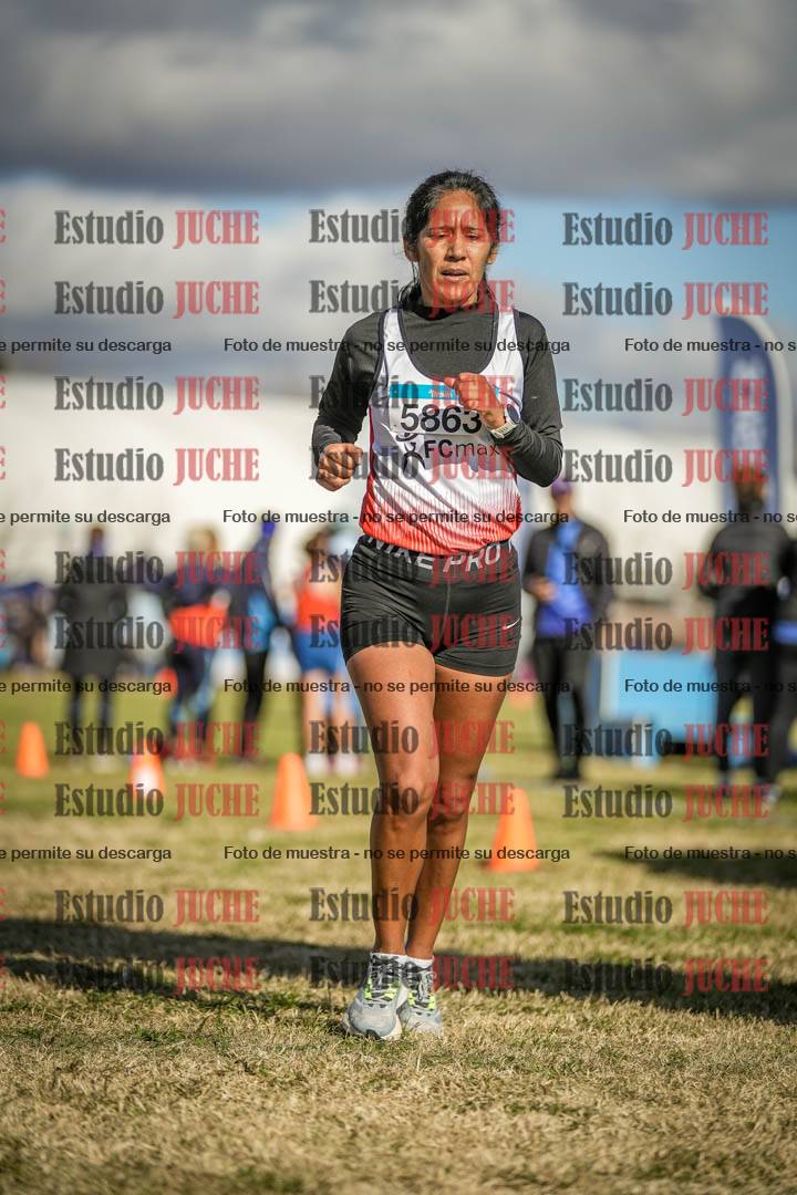 Fotos de las llegadas