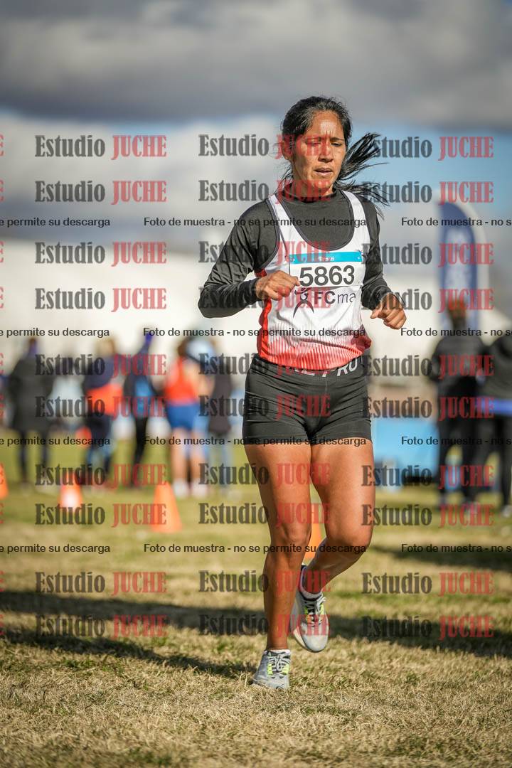 Fotos de las llegadas