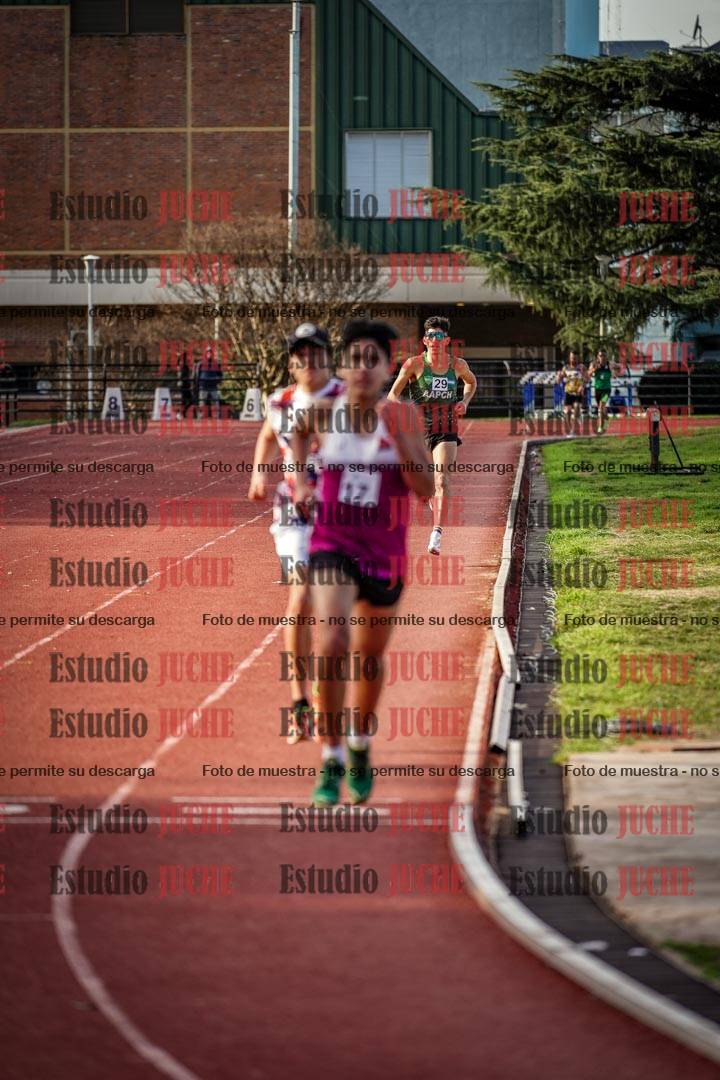 Fotos de los 3000 m llanos de varones