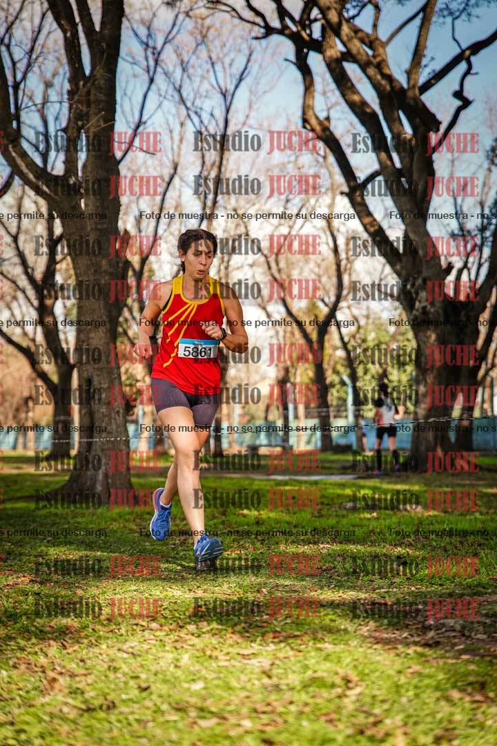 Fotos en el circuito