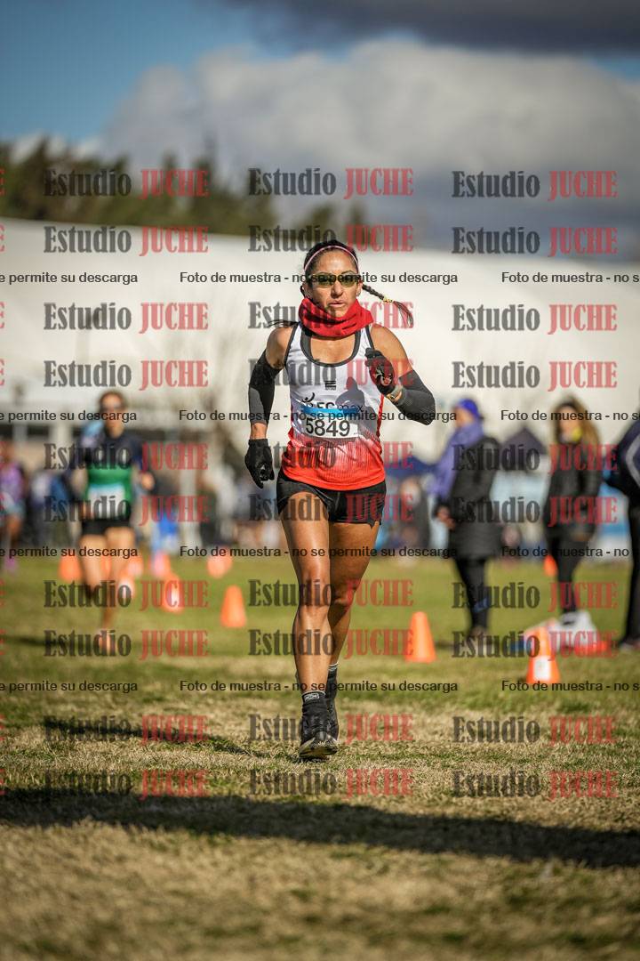 Fotos de las llegadas