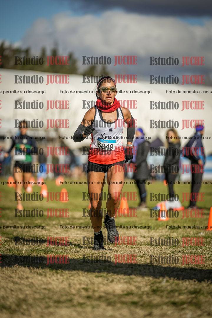 Fotos de las llegadas