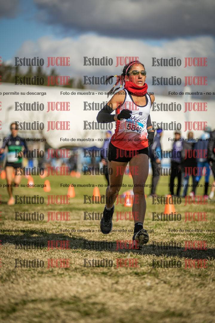 Fotos de las llegadas