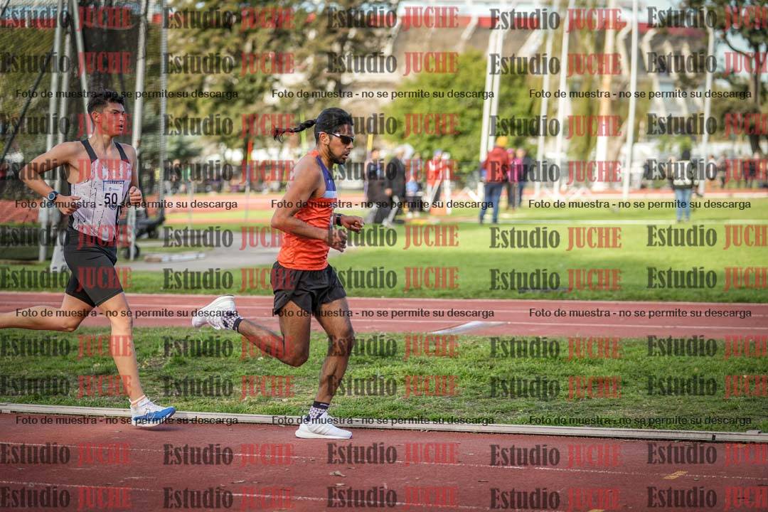 Fotos de los 3000 m llanos de varones