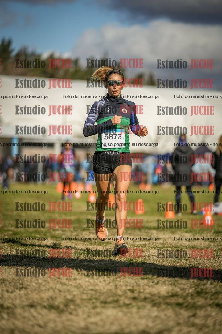 Fotos de las llegadas