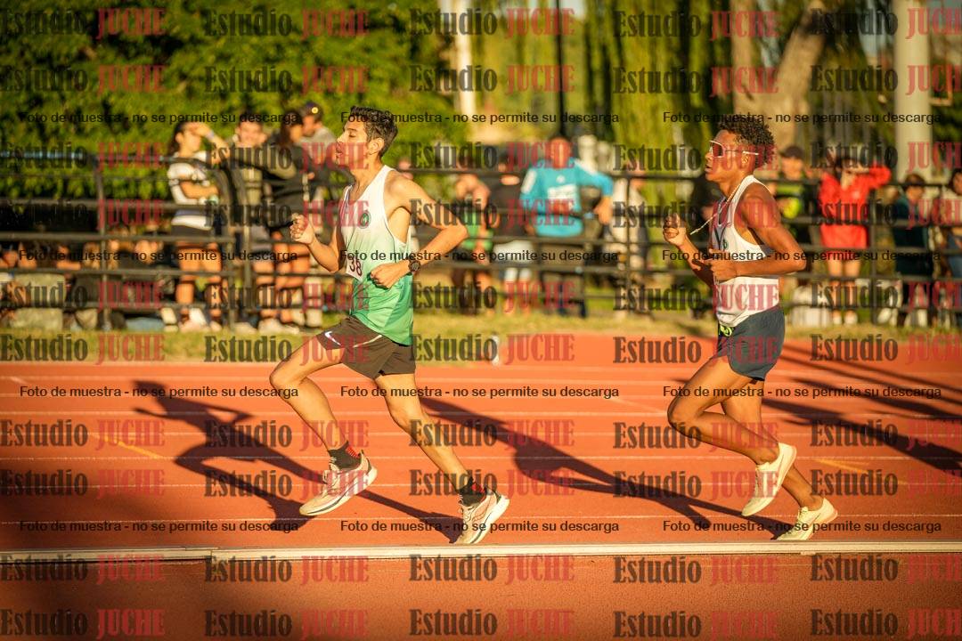 Fotos de los 3000 m llanos de varones