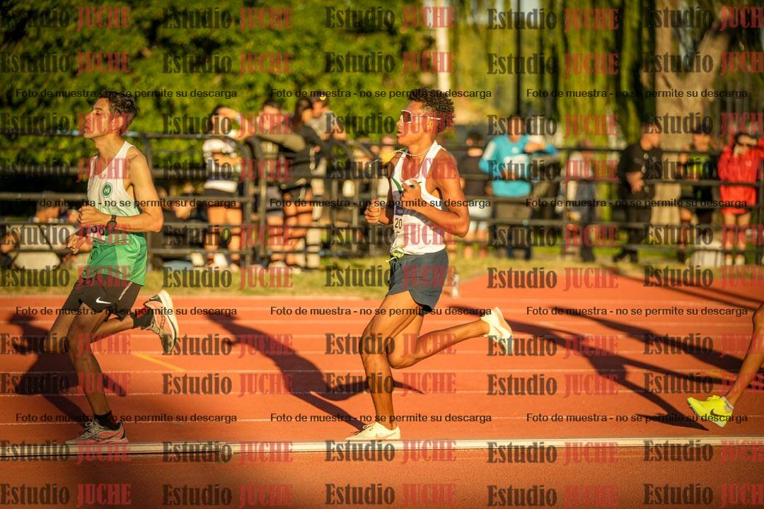 Fotos de los 3000 m llanos de varones