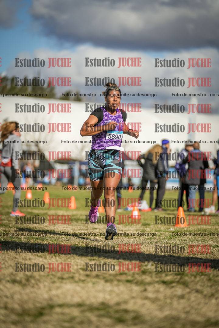 Fotos de las llegadas