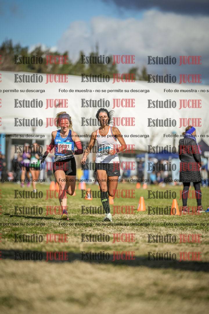 Fotos de las llegadas