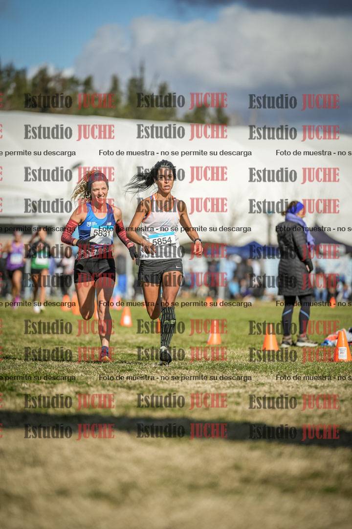 Fotos de las llegadas