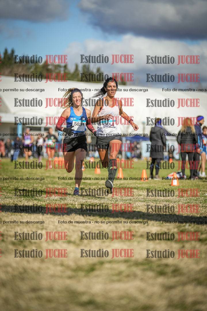 Fotos de las llegadas