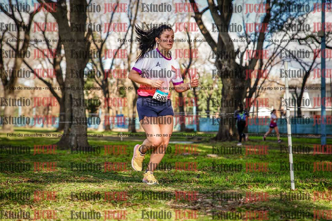 Fotos en el circuito