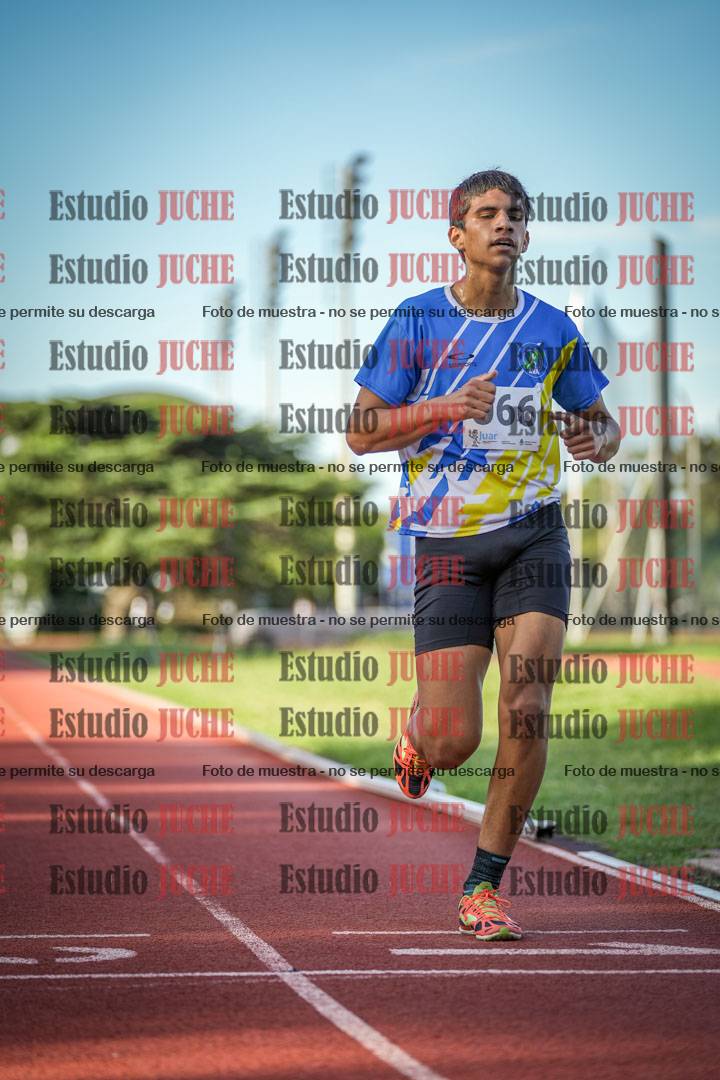 Fotos de los 1500 m llanos de varones