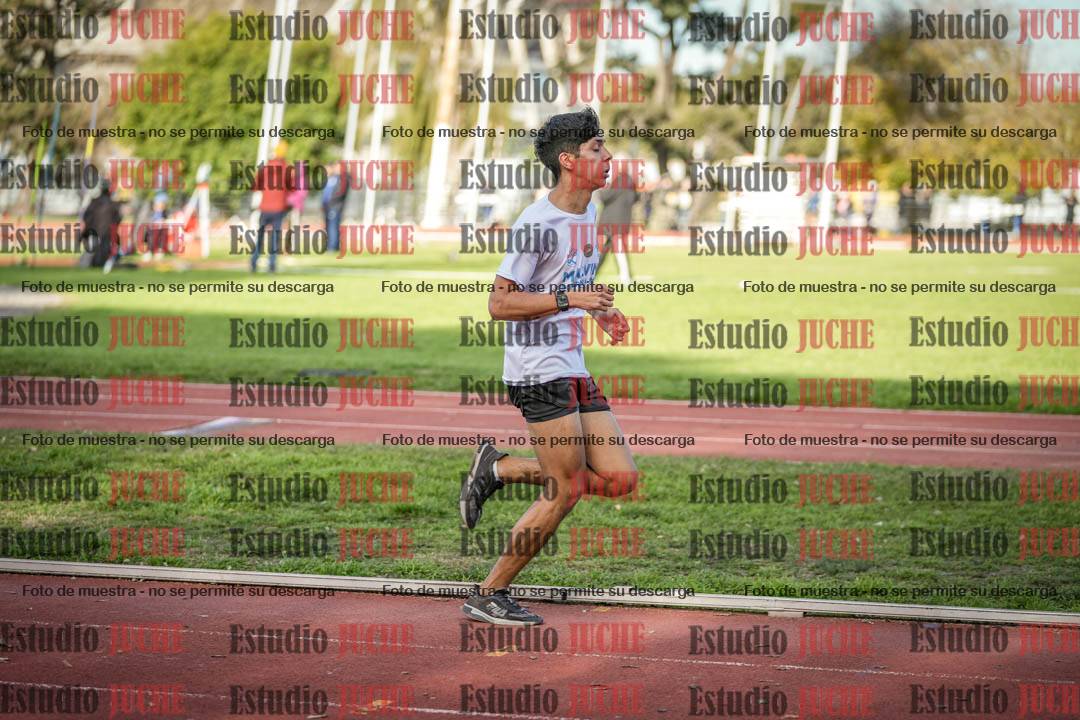 Fotos de los 3000 m llanos de varones