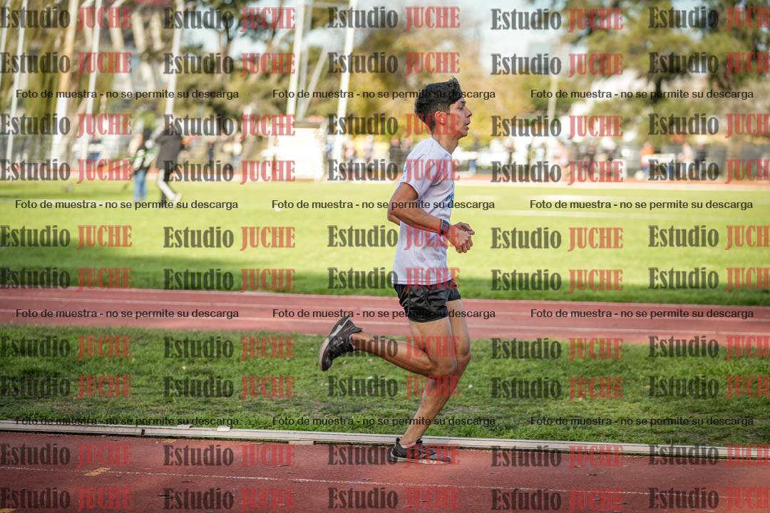 Fotos de los 3000 m llanos de varones