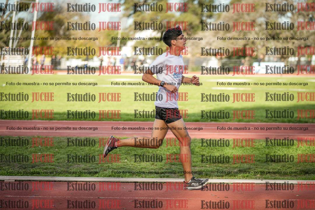 Fotos de los 3000 m llanos de varones