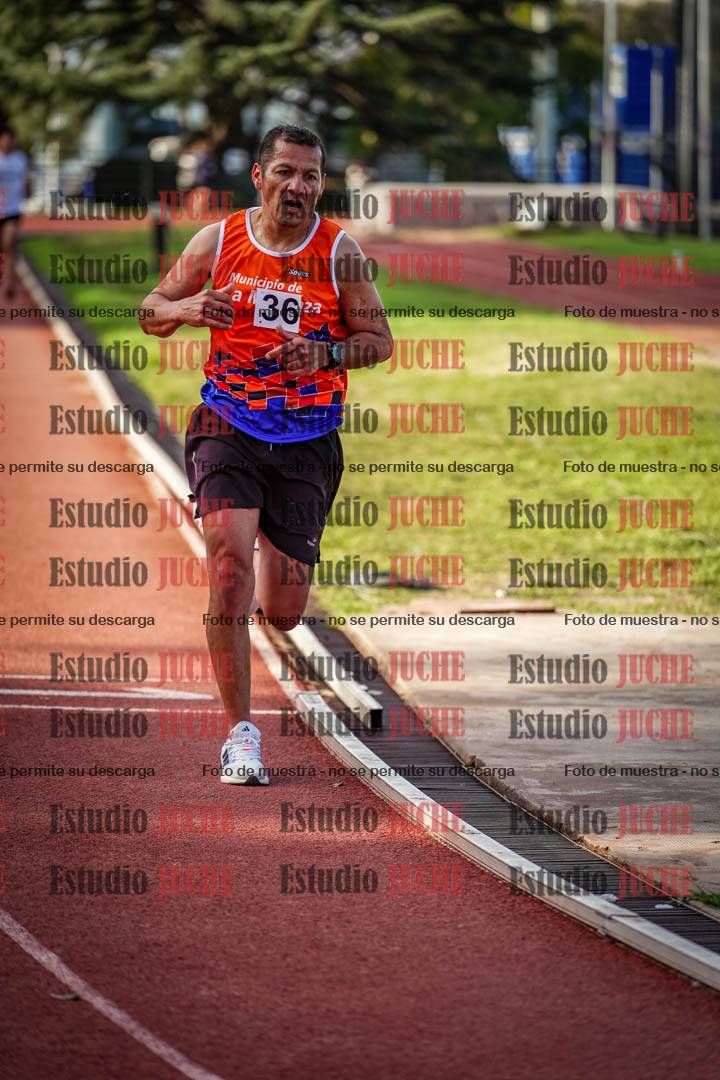 Fotos de los 3000 m llanos de varones