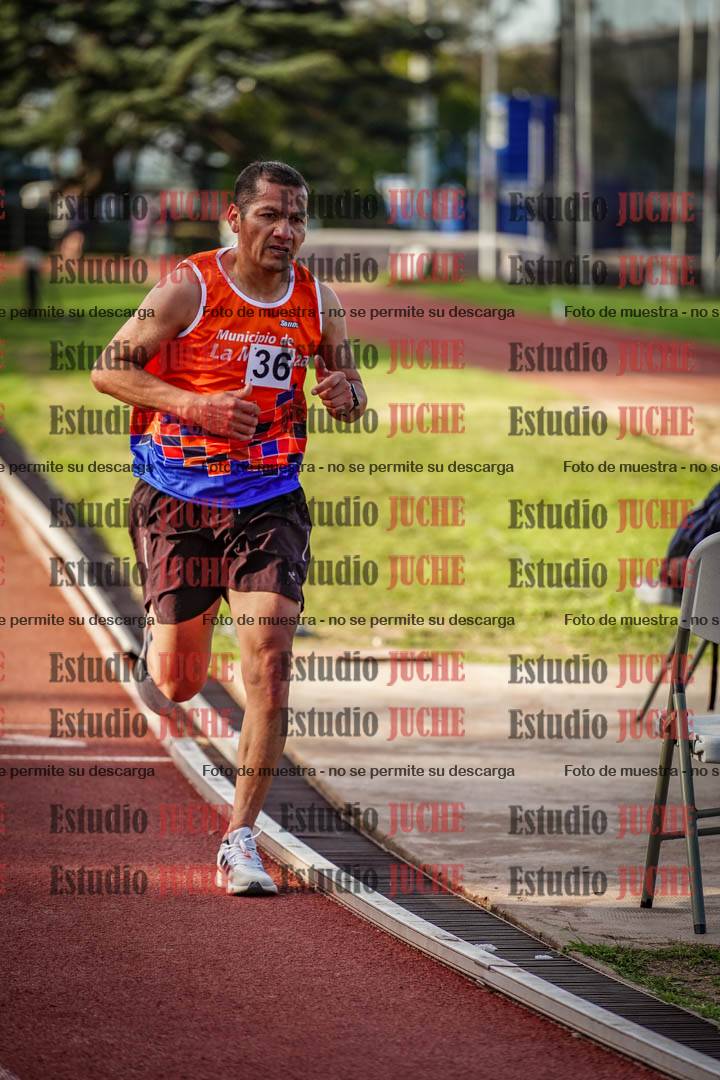 Fotos de los 3000 m llanos de varones