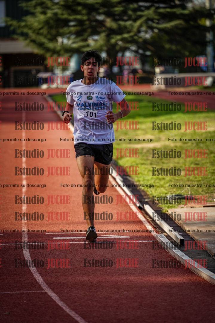 Fotos de los 3000 m llanos de varones