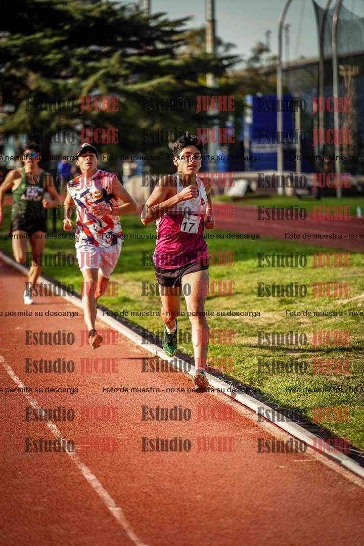 Fotos de los 3000 m llanos de varones