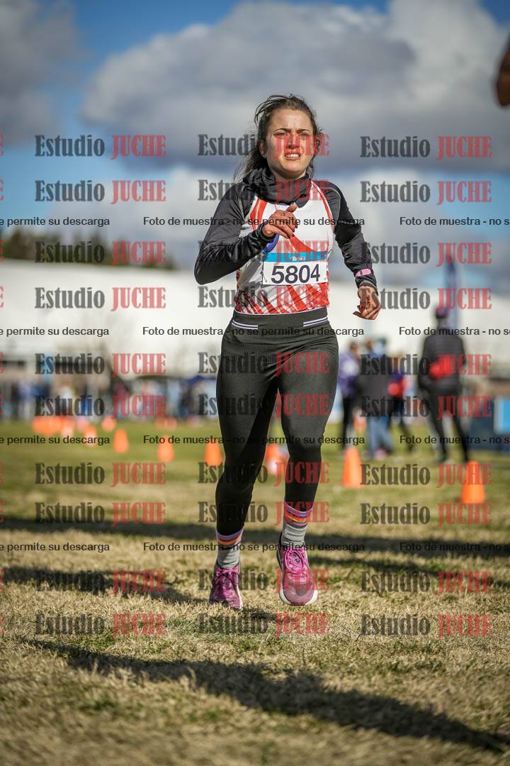 Fotos de las llegadas