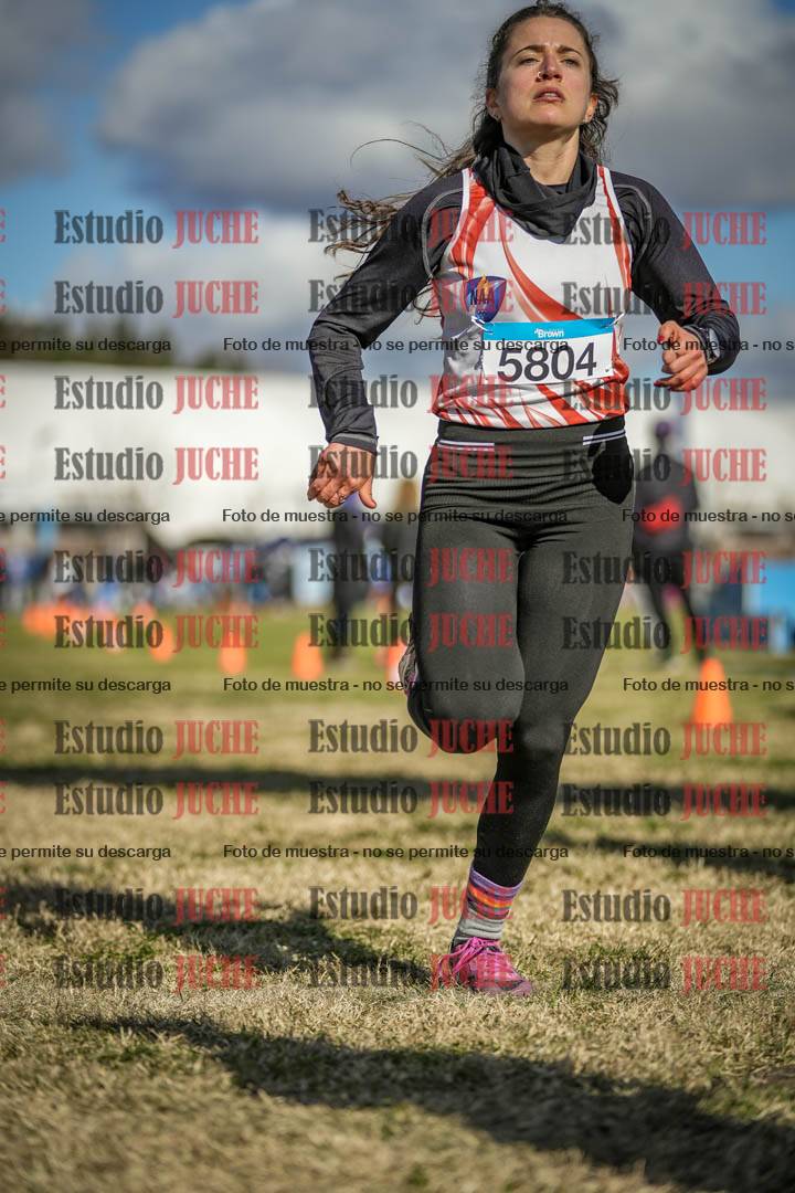Fotos de las llegadas