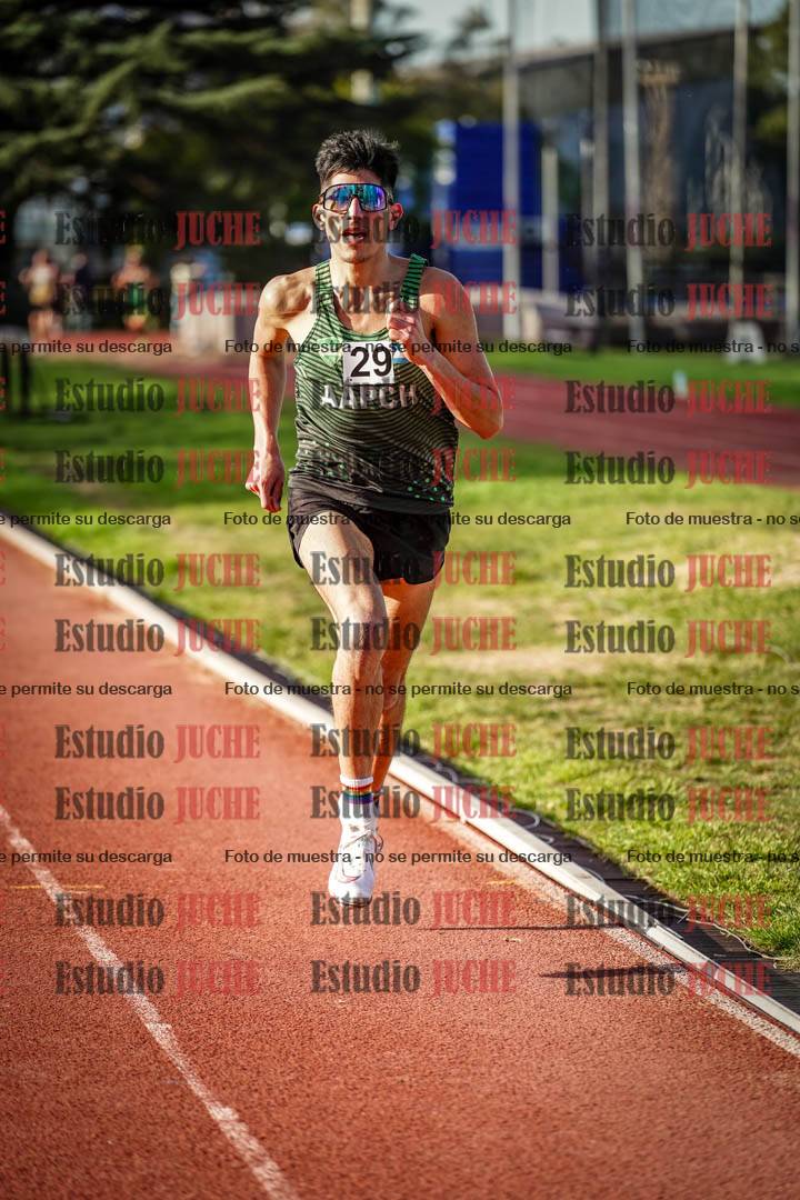 Fotos de los 3000 m llanos de varones