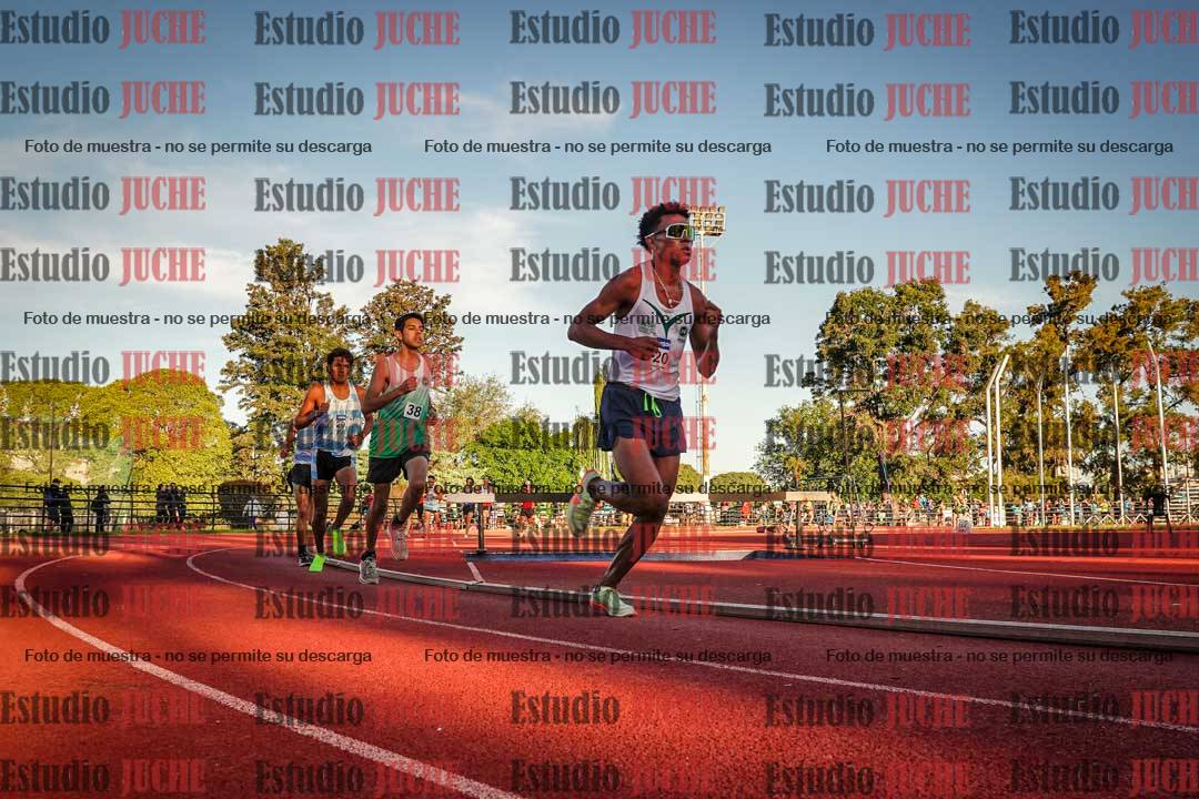 Fotos de los 3000 m llanos de varones