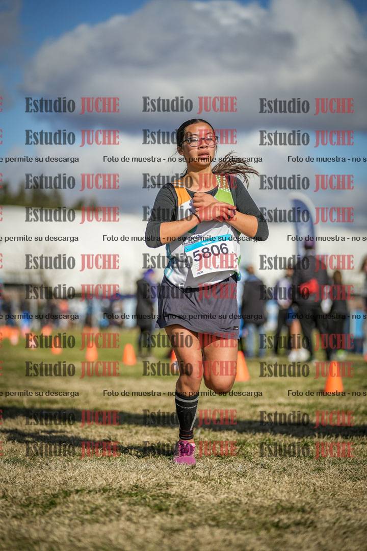 Fotos de las llegadas