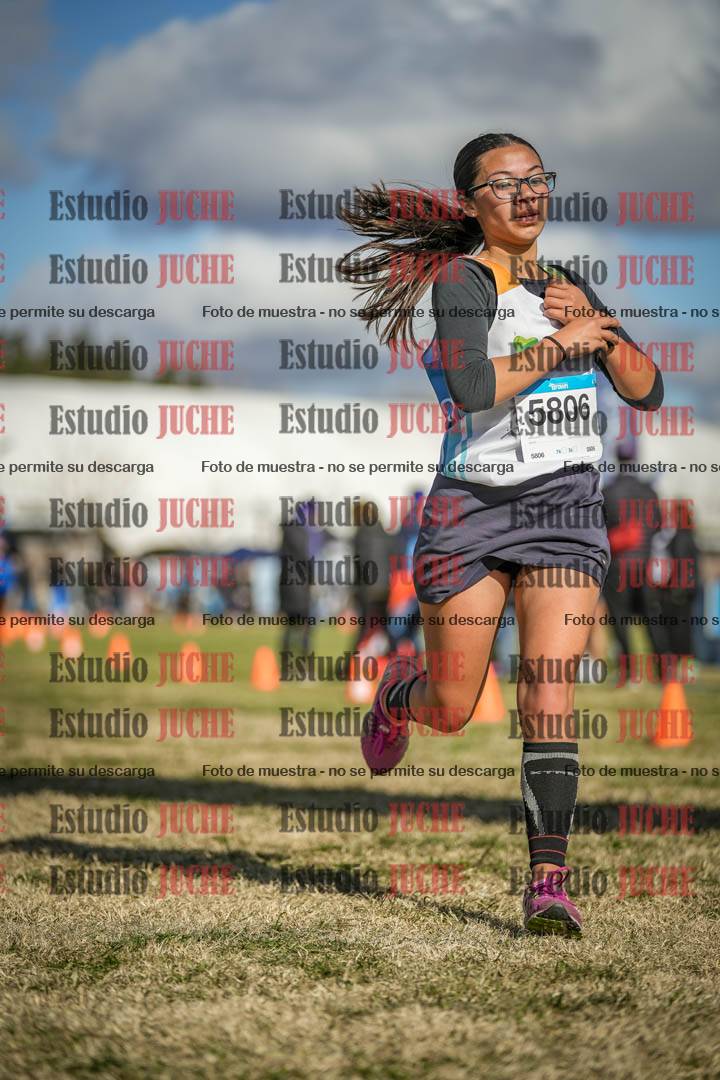Fotos de las llegadas
