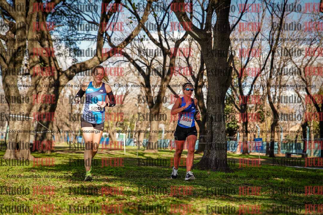 Fotos en el circuito