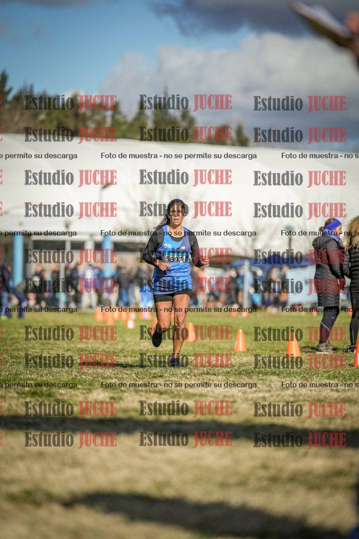 Fotos de las llegadas