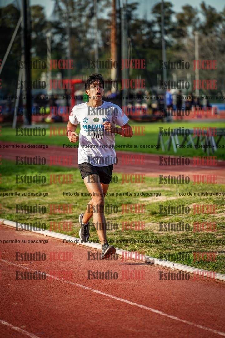 Fotos de los 3000 m llanos de varones