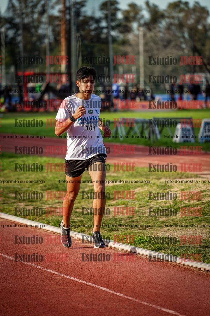 Fotos de los 3000 m llanos de varones