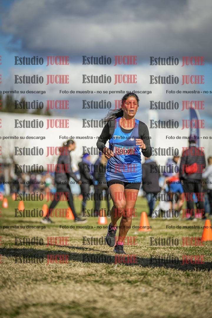Fotos de las llegadas
