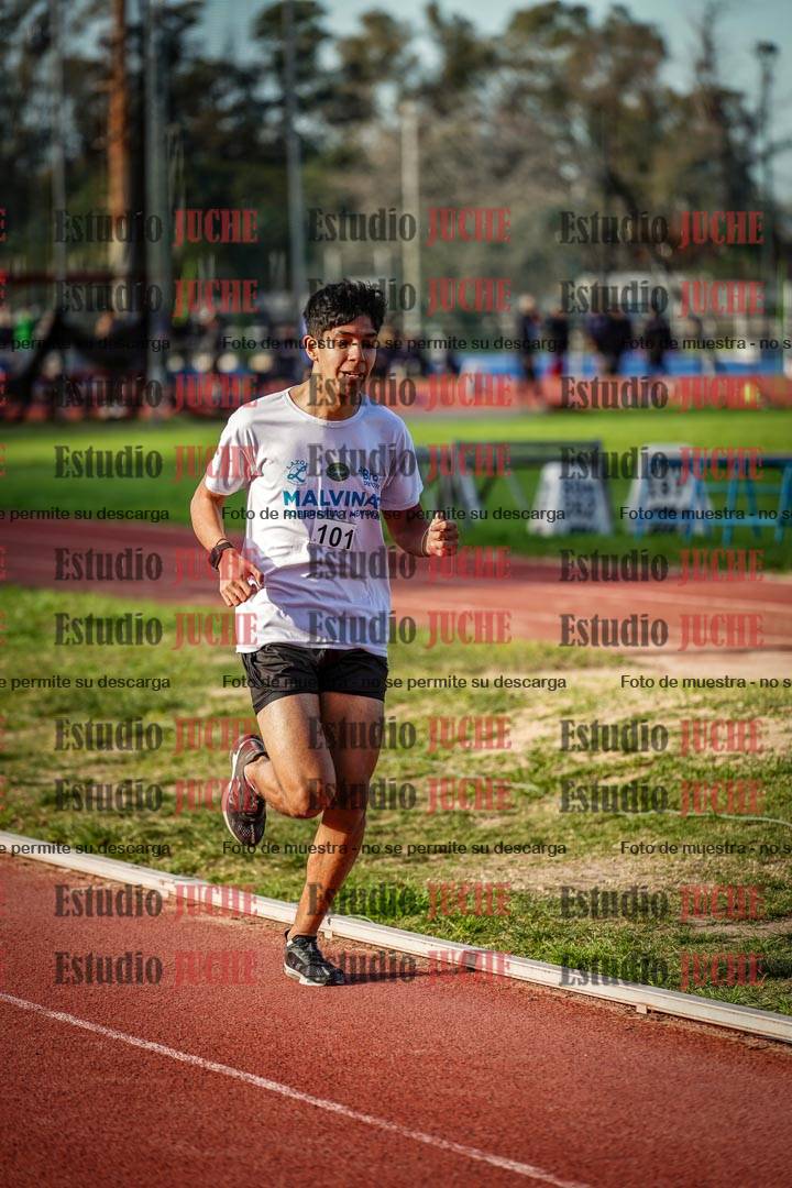Fotos de los 3000 m llanos de varones