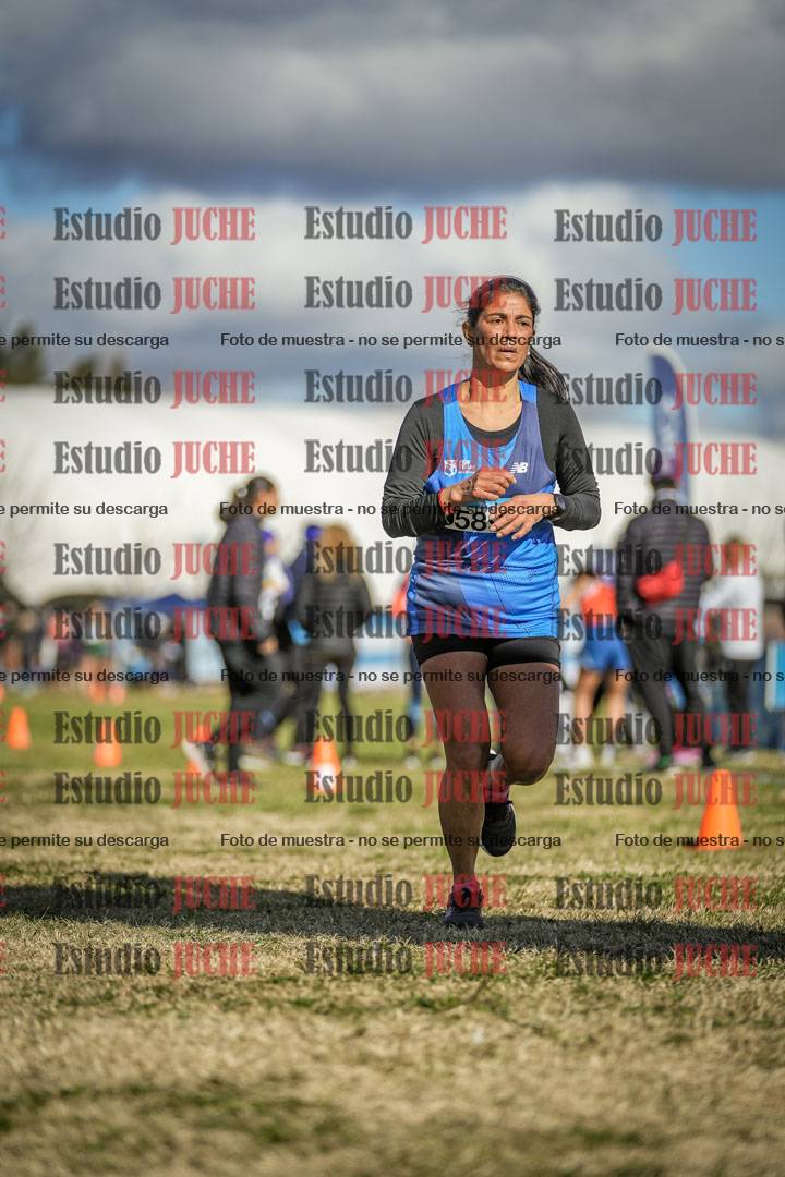 Fotos de las llegadas