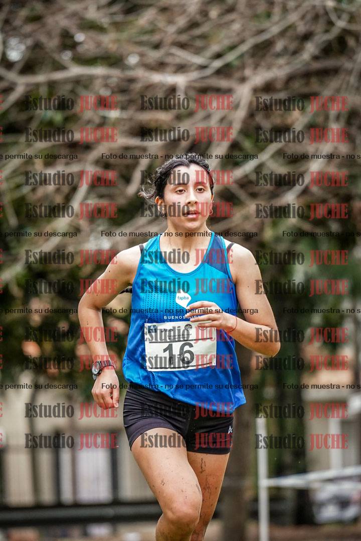 Fotos en el circuito