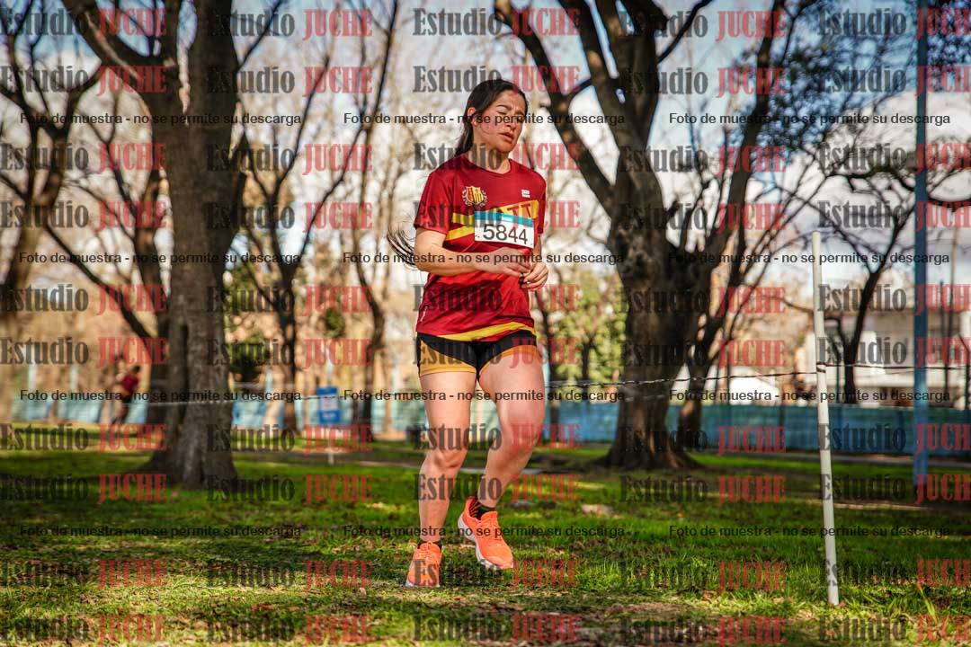 Fotos en el circuito
