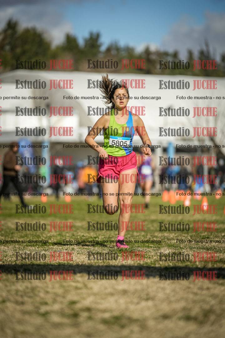 Fotos de las llegadas
