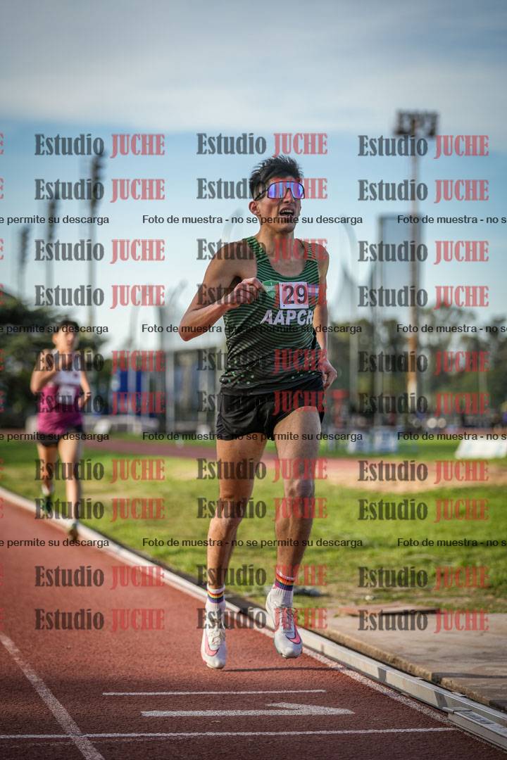 Fotos de los 3000 m llanos de varones