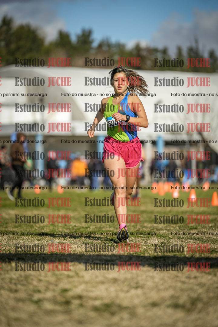 Fotos de las llegadas