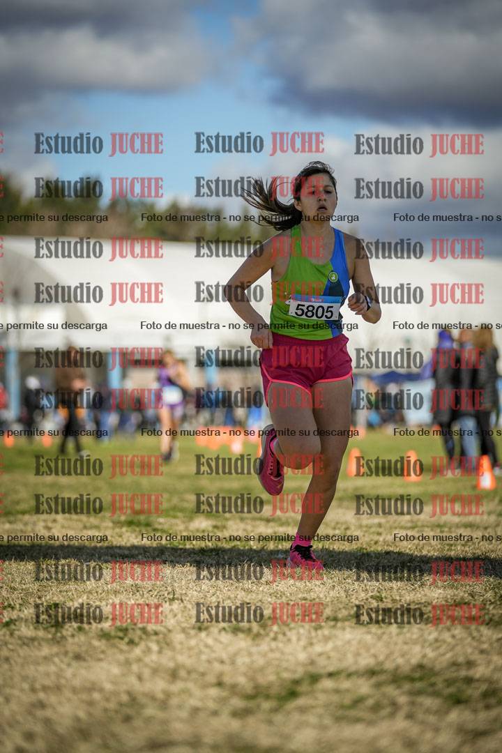 Fotos de las llegadas