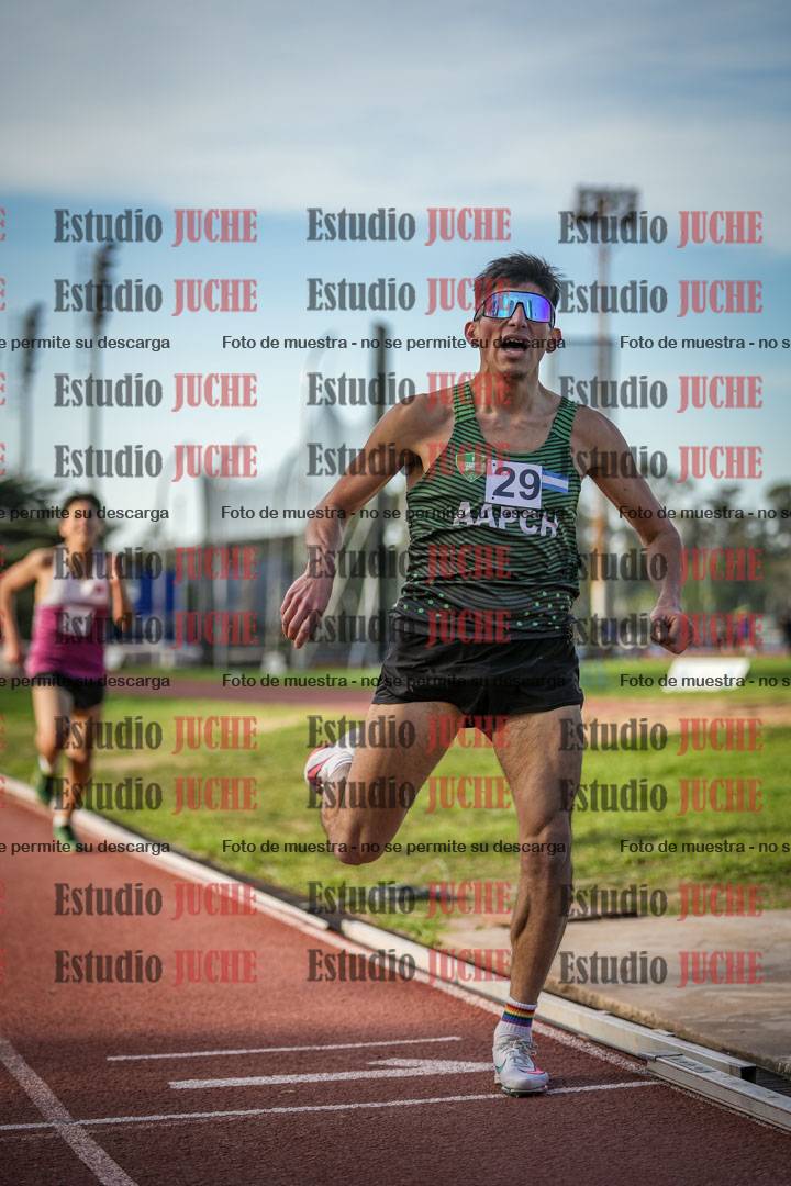 Fotos de los 3000 m llanos de varones